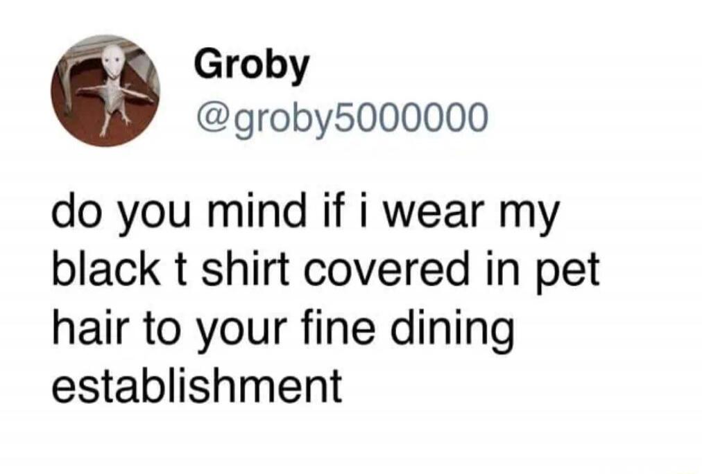 Groby @groby5000000 do you mind if i wear my black t shirt covered in pet hair to your fine dining establishment
