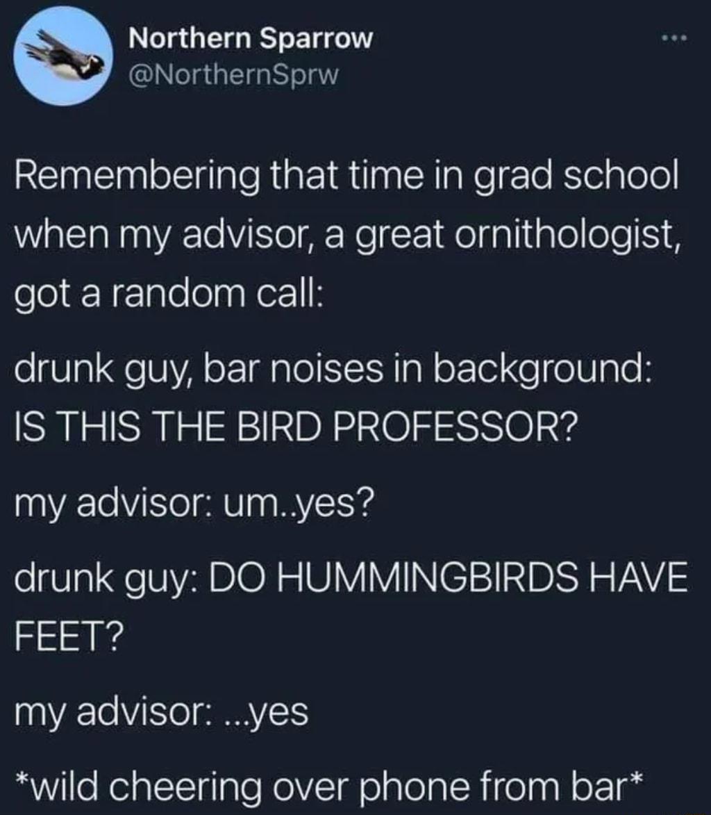 Northern Sparrow NorthernSprw Remembering that time in grad school when my advisor a great ornithologist got a random call e Vo Qe TNV o EIdAle Y Ta N oF Tol e oUpTe B IS THIS THE BIRD PROFESSOR my advisor umyes drunk guy DO HUMMINGBIRDS HAVE EEET my advisor yes wild cheering over phone from bar