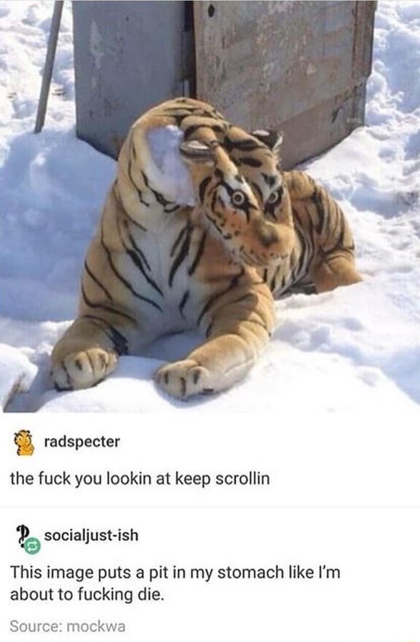 radspecter the fuck you lookin at keep scrollin socialjust ish This image puts a pit in my stomach like Im about to fucking die Source mockwa