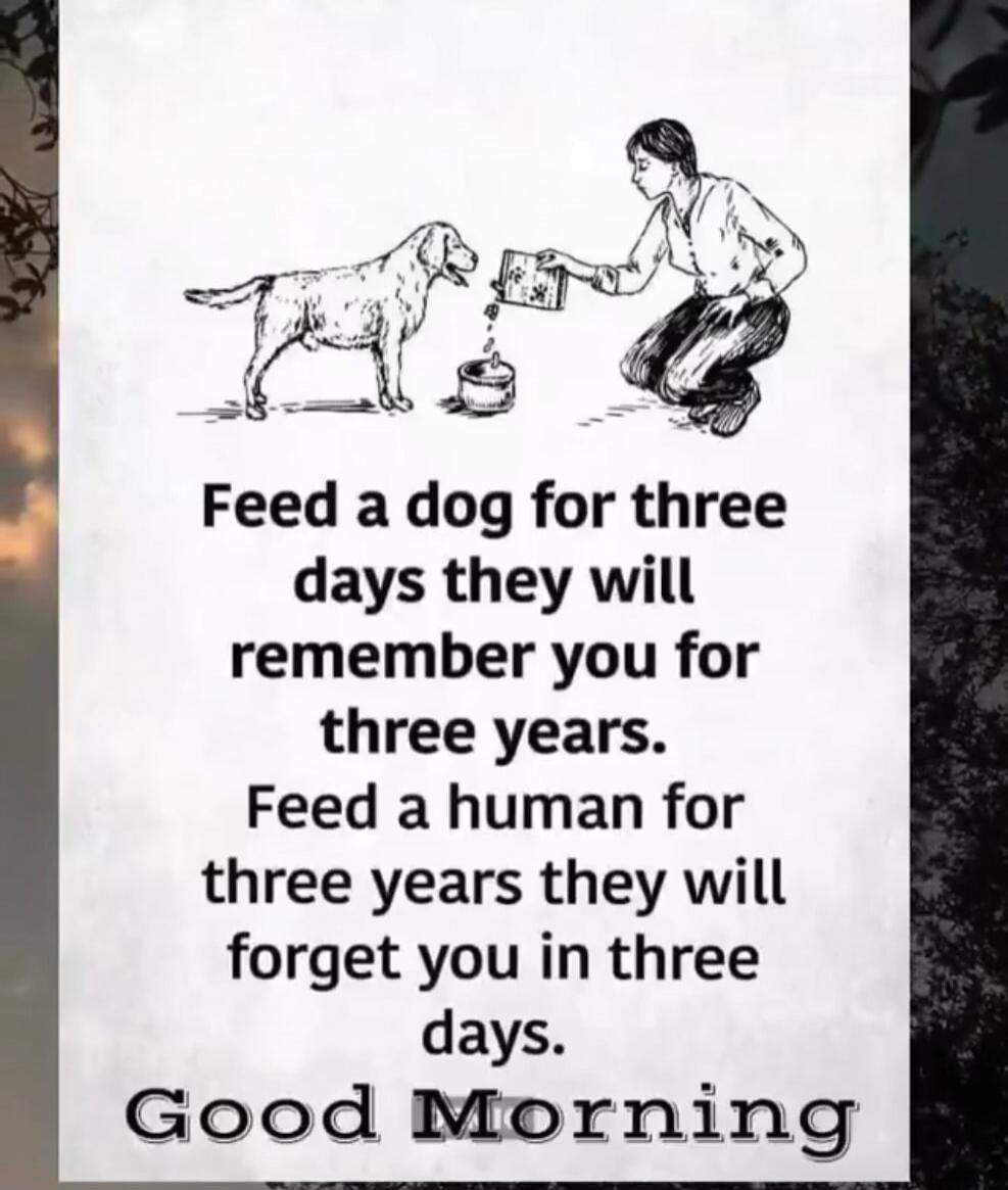 Feed a dog for three days they will remember you for three years. Feed a human for three years they will forget you in three days. Good Morning