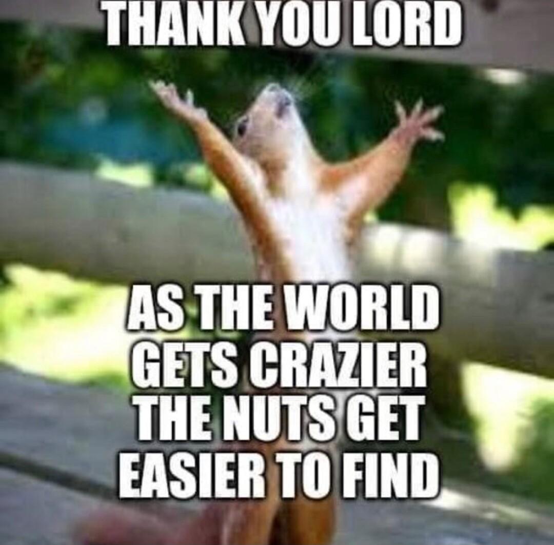 THANKYOULORD J_ A_S_THE WORLD GETS CRAZIER THENUTSGET _EASIERTO FIND_