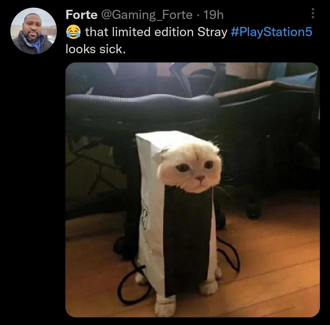 Forte Gaming_Forte 19h H that limited edition Stray PlayStation5 looks sick