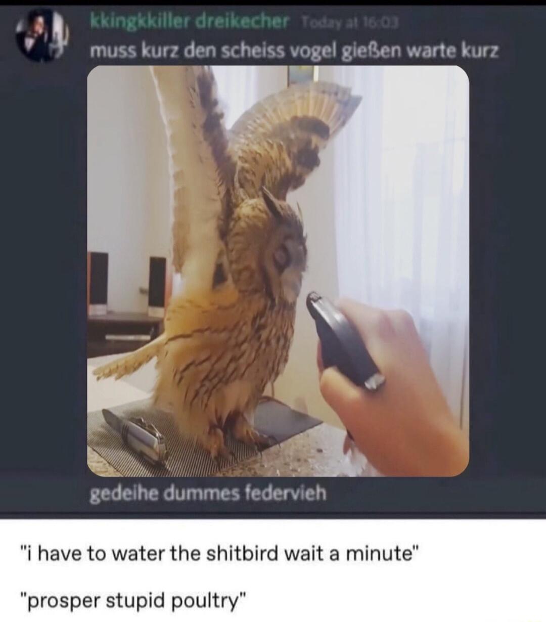 v muss kurz den scheiss vogel giefien warte kurz N gedeihe dummes federvieh i have to water the shitbird wait a minute prosper stupid poultry