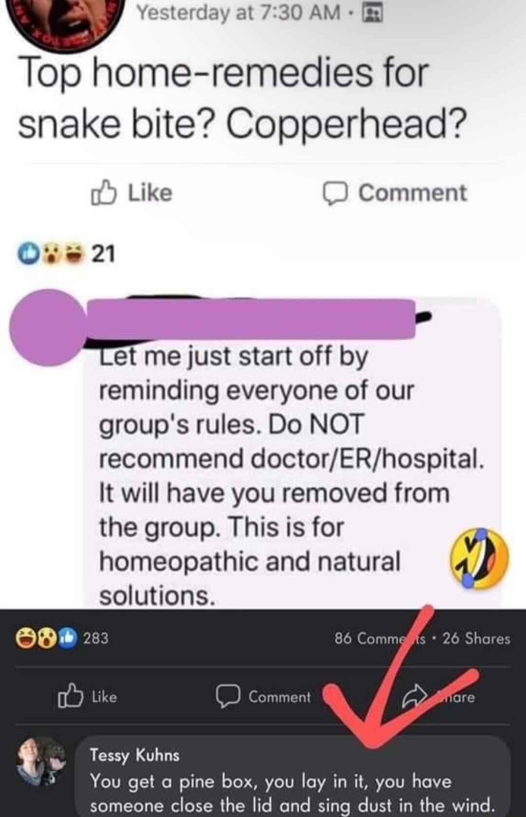 terday at 730 AM Top home remedies for snake bite Copperhead o Like D Comment Ous21 S Tet me just start off by reminding everyone of our groups rules Do NOT recommend doctorERhospital It will have you removed from the group This is for homeopathic and natural 0 solutions LD o Uik o Tessy Kuhns Youget a pine box youllayin it you have someone close the lid and sing dust in the wind
