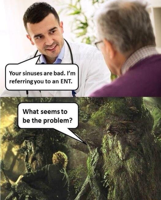 Your sinuses are bad Im referringyou to an ENT What seems to be the problem