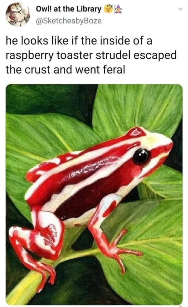 g Owl at the Library 4 1 SketchesbyBoze he looks like if the inside of a raspberry toaster strudel escaped the crust and went feral