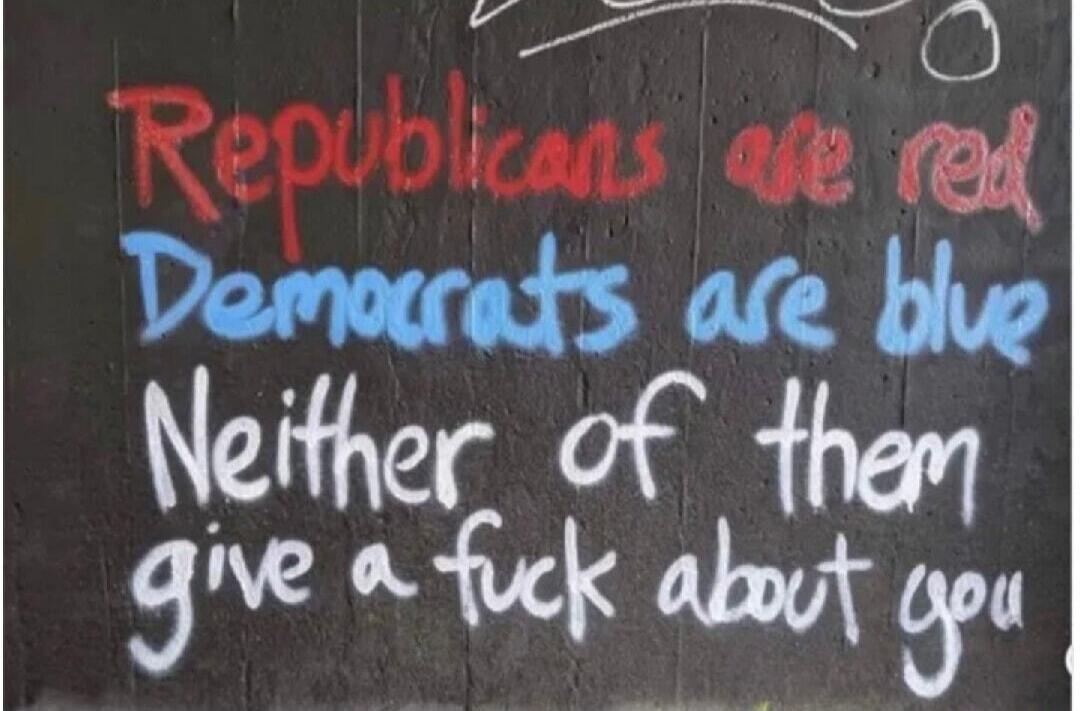 Republicans are red, Democrats are blue, Neither of them give a fuck about you.