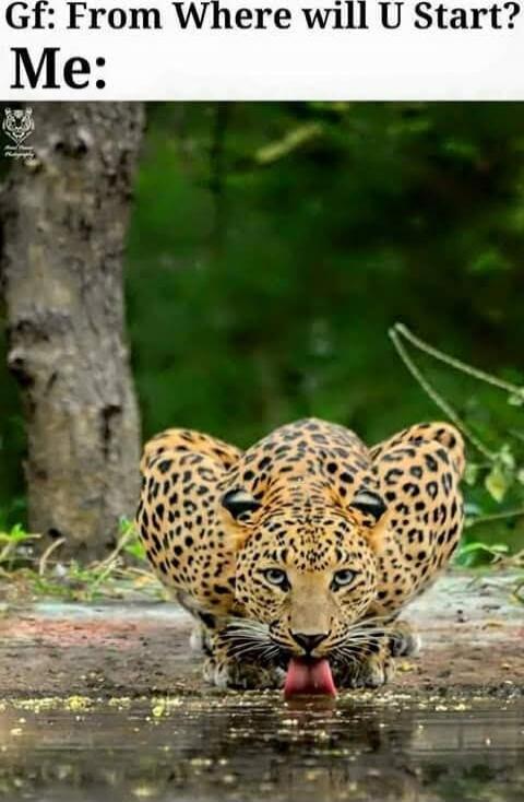 Gf: From Where will U Start? Me: