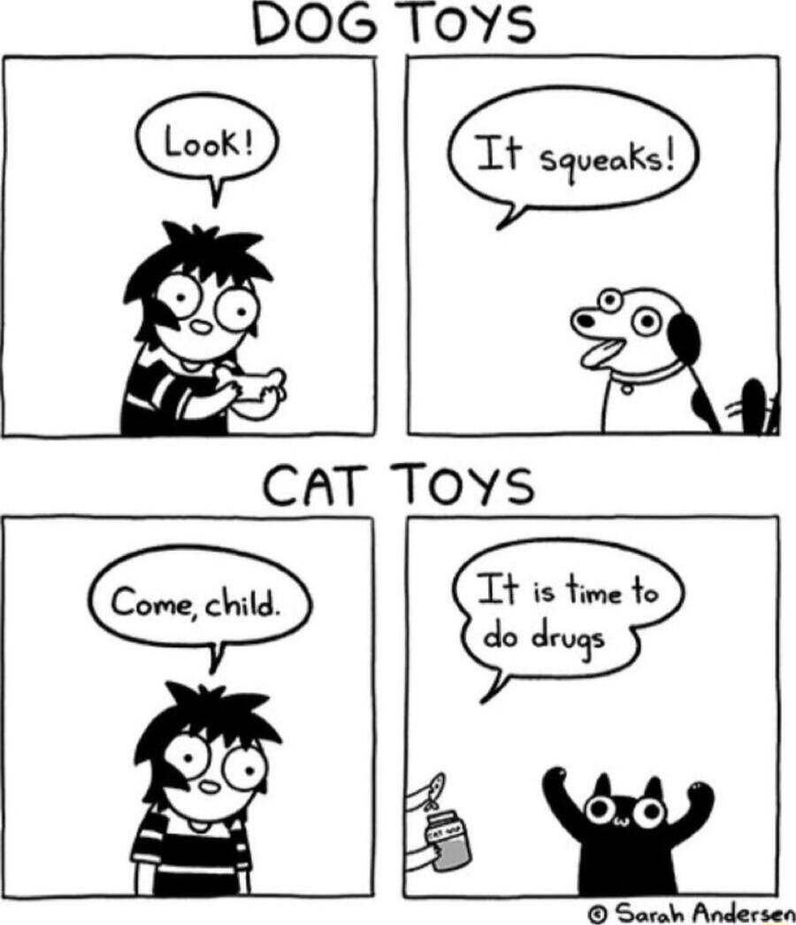 DOG TOYS: Look! It squeaks! CAT TOYS: Come, child. It is time to do drugs.