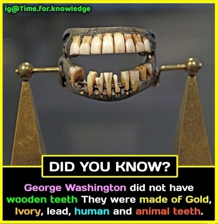 ig@Time.for.knowledge DID YOU KNOW? George Washington did not have wooden teeth They were made of Gold, Ivory, lead, human and animal teeth.