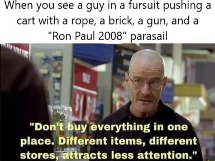 When you see a guy in a fursuit pushing a cart with a rope a brick a gun and a Ron Paul 2008 parasail Tl 4 DontBuy everything in one CIETEN T CIET ST ET P T ETET storesmracts less attention