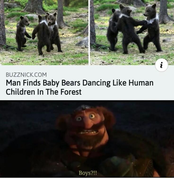 Man Finds Baby Bears Dancing Like Human Children In The Forest
Boys?!!