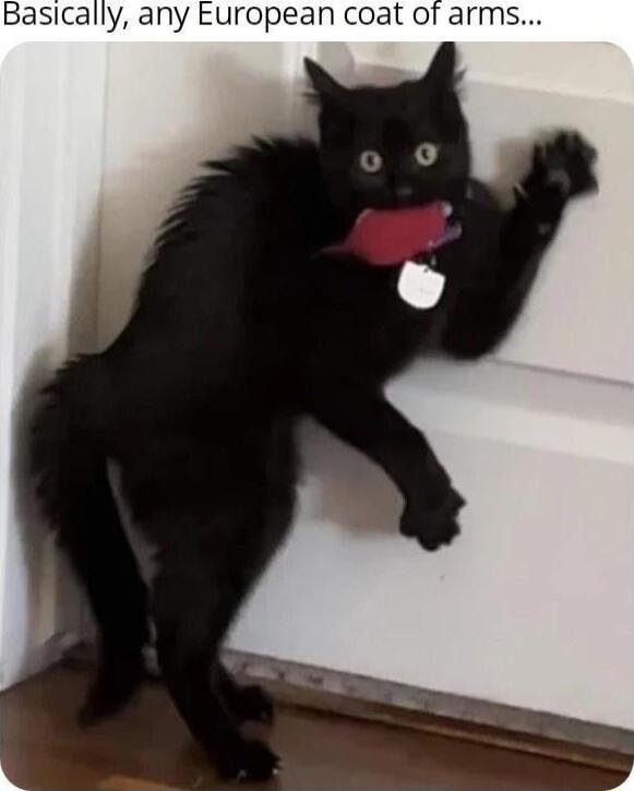 Basically any European coat o