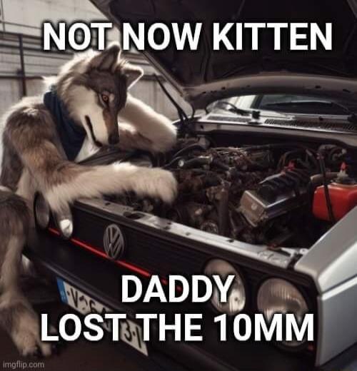 NOT NOW KITTEN F E DADDY q LOSTQTHE 10MM R