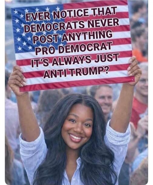 EVER NOTICE THAT DEMOCRATS NEVER POST ANYTHING PRO DEMOCRAT IT'S ALWAYS JUST ANTI TRUMP?