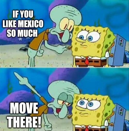 IF YOU LIKE MEXICO SO MUCH MOVE THERE!