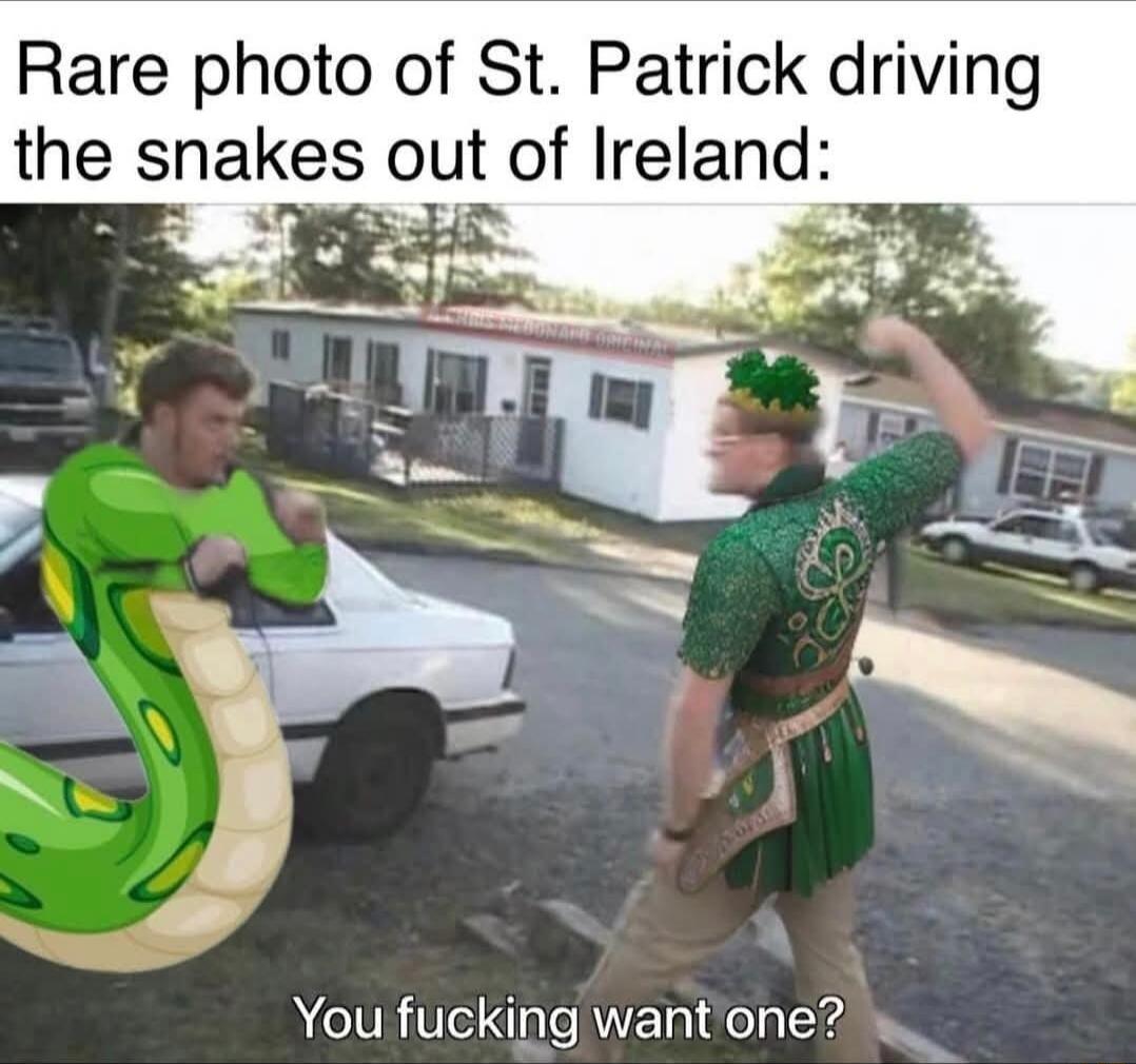 Rare photo of St. Patrick driving the snakes out of Ireland: You fucking want one?