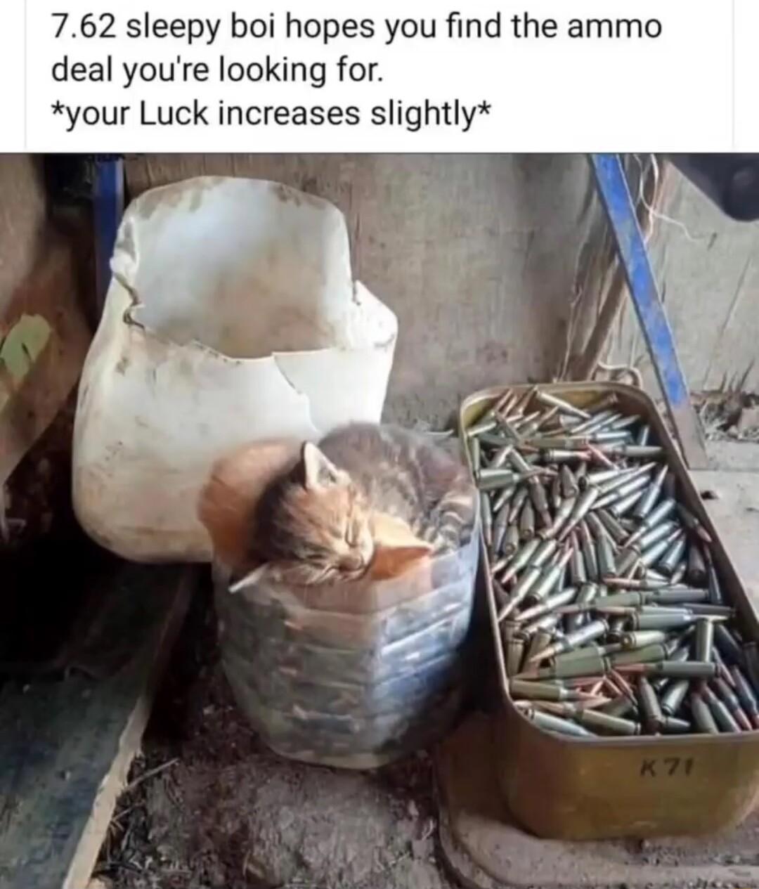 762 sleepy boi hopes you find the ammo deal youre looking for your Luck increases slightly
