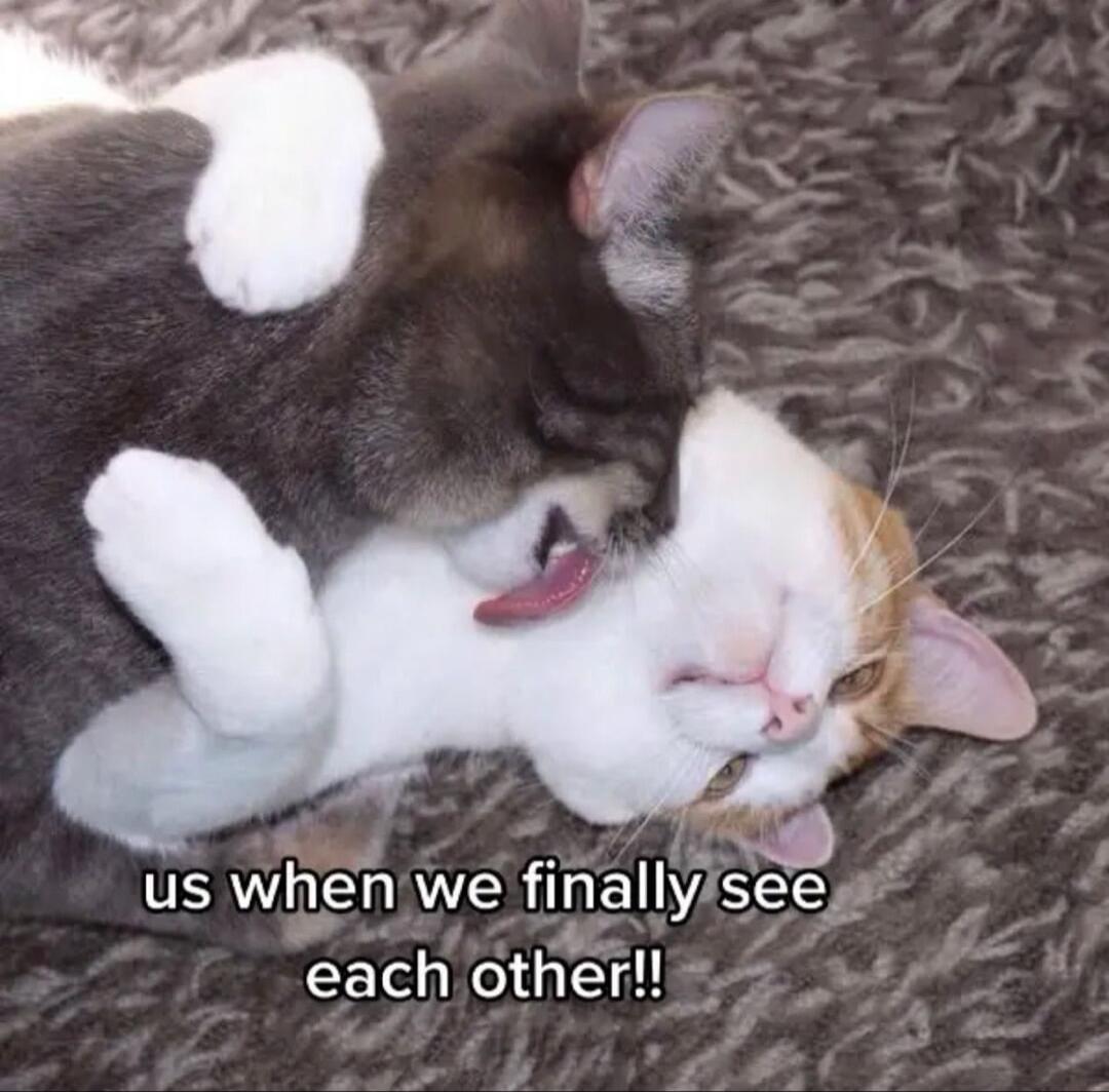 us when we finally see each other!!