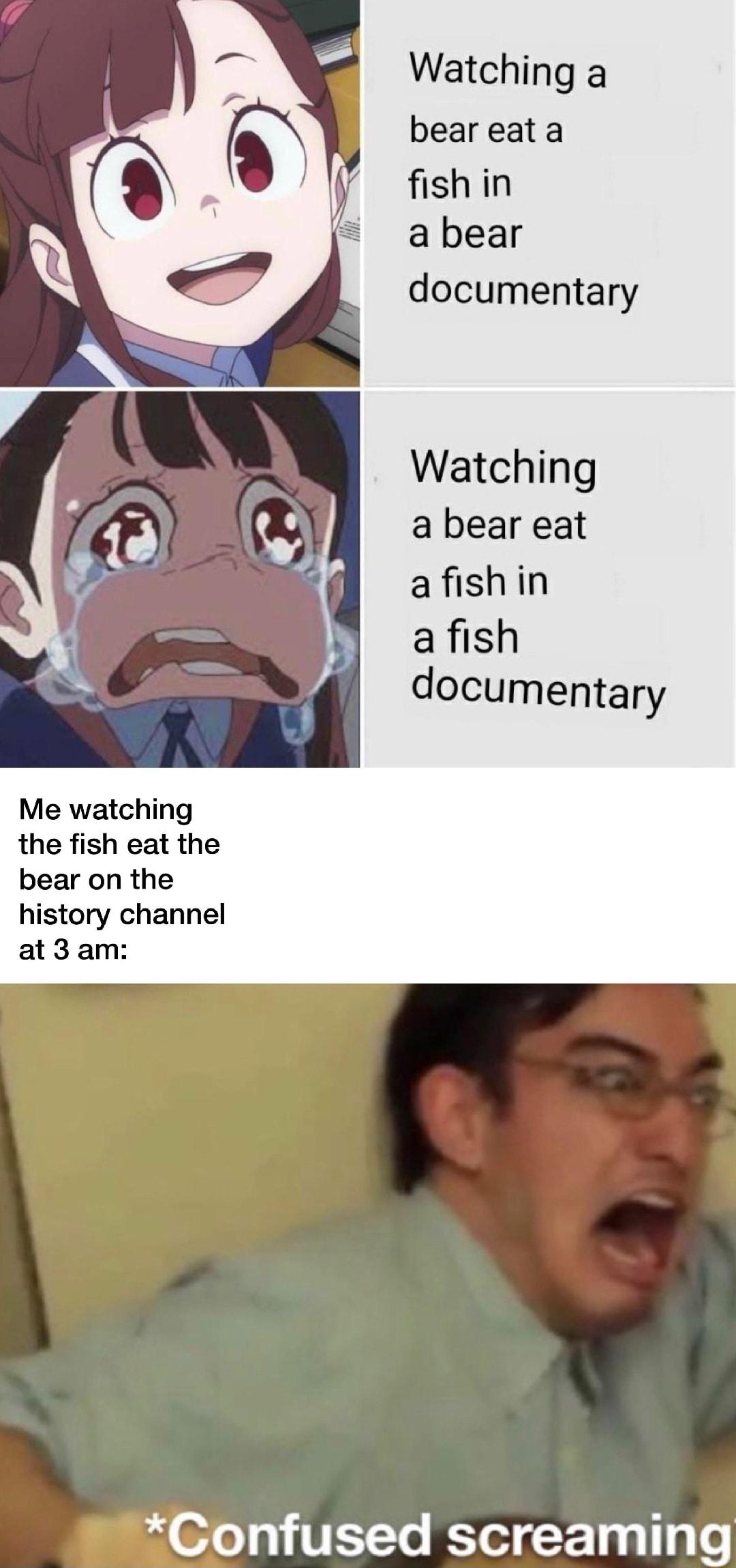 Watching a bear eat a fish in a bear documentary Watching a bear eat afishin a fish documentary Me watching the fish eat the bear on the history channel at 3 am Confused screaming