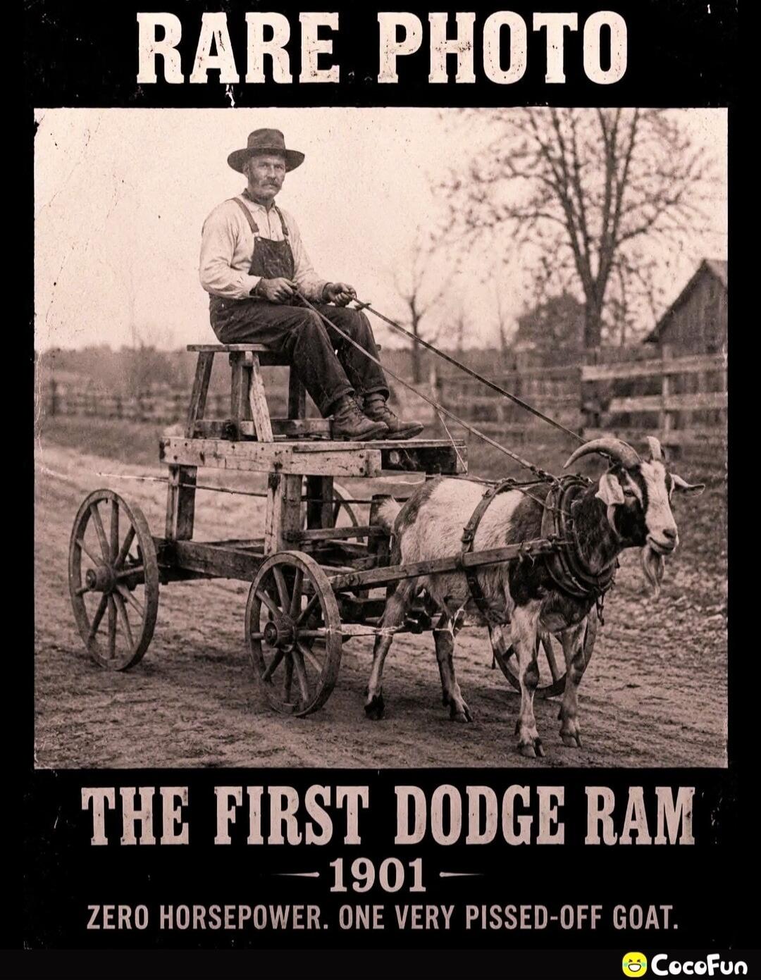 RARE PHOTO. THE FIRST DODGE RAM - 1901. ZERO HORSEPOWER. ONE VERY PISSED-OFF GOAT.