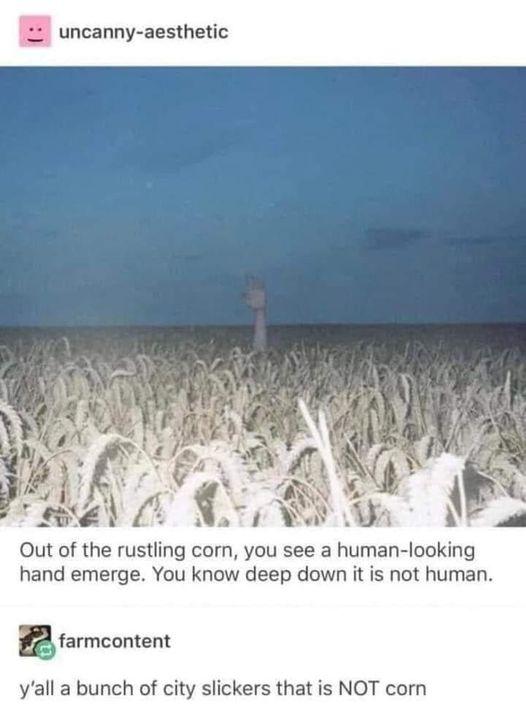 Out of the rustling corn you see a human looking hand emerge You know deep down it is not human 2 farmeontent yall a bunch of city slickers that is NOT corn