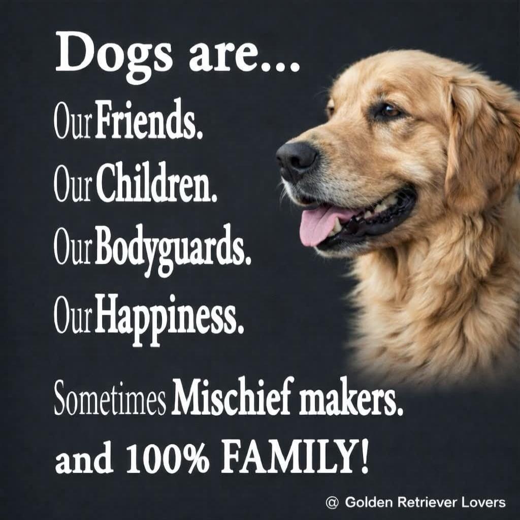 Dogs are... Our Friends. Our Children. Our Bodyguards. Our Happiness. Sometimes Mischief makers. and 100% FAMILY! @ Golden Retriever Lovers