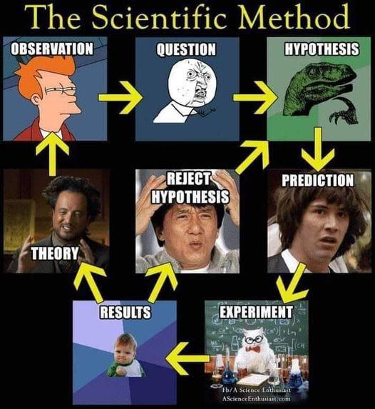The Scientific Method llslllllll QIISIIOII VFIITISIS i e Illlll ik RESULTS QIIIIIIIHHT