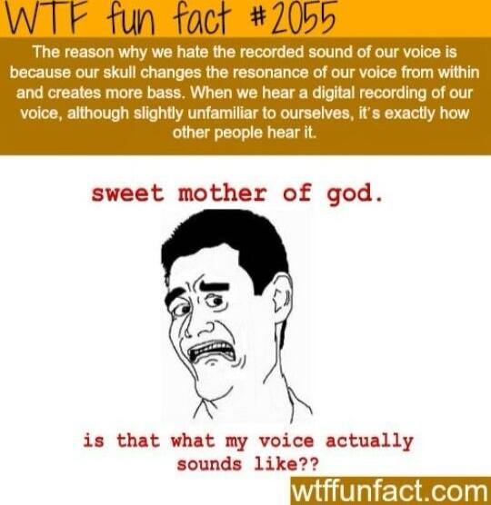 WTF 1un toct 2055 The reason why we hate the recorded sound of our voice is because our skull changes the resonance of our voice from within and creates more bass When we hear a digital recording of our voice although slightly unfamiliar to ourselves it s exactly how other people hear it sweet mother of god is that what my voice actually sounds like wtffunfactcom