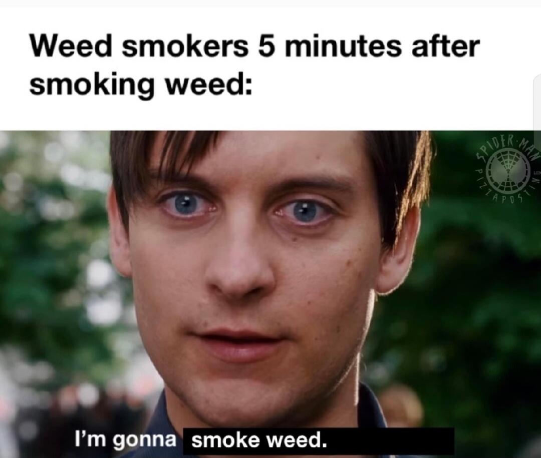 Weed smokers 5 minutes after smoking weed: I'm gonna smoke weed.