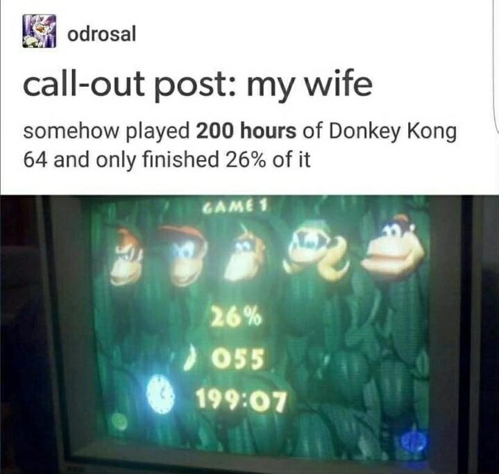 W odrosal call out post my wife somehow played 200 hours of Donkey Kong 64 and only finished 26 of it