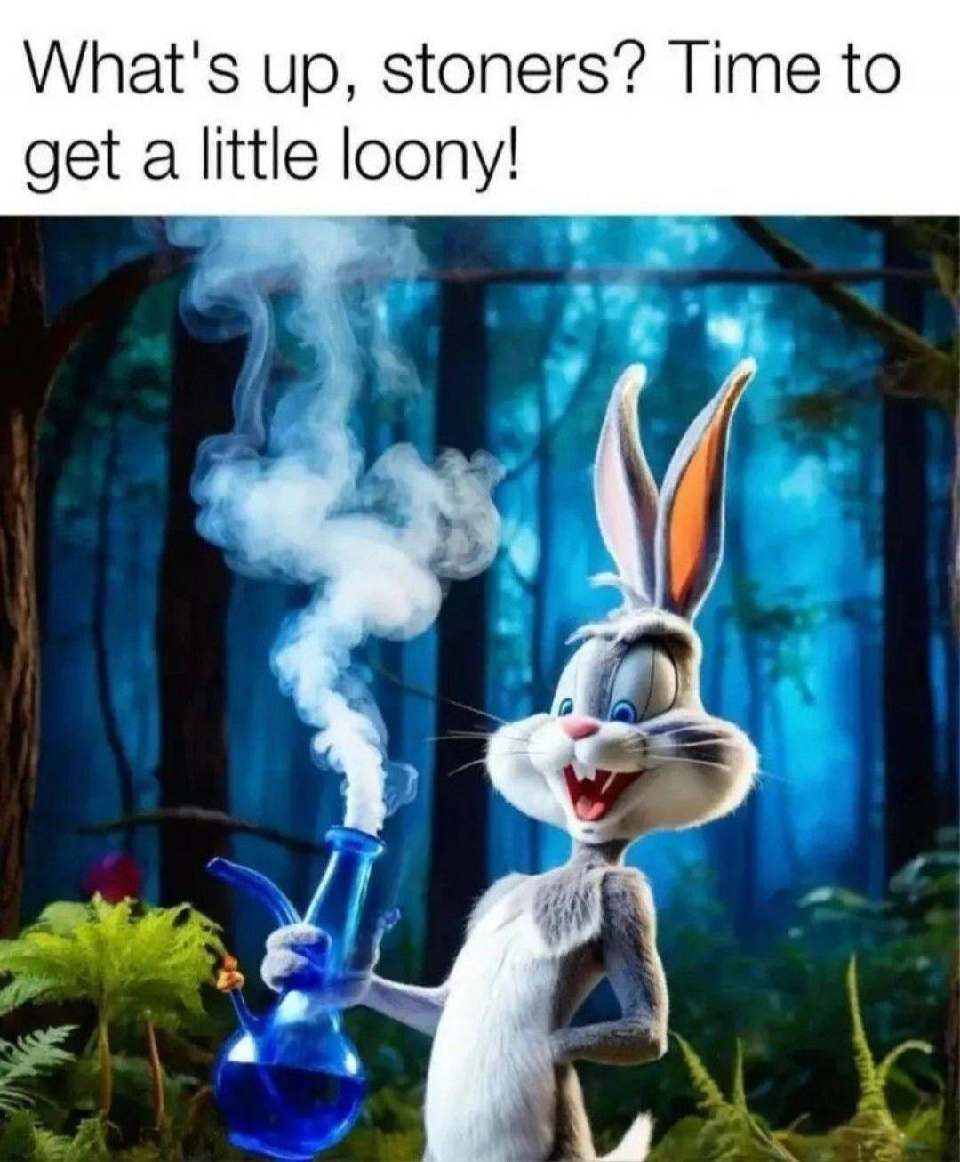 What's up, stoners? Time to get a little loony!