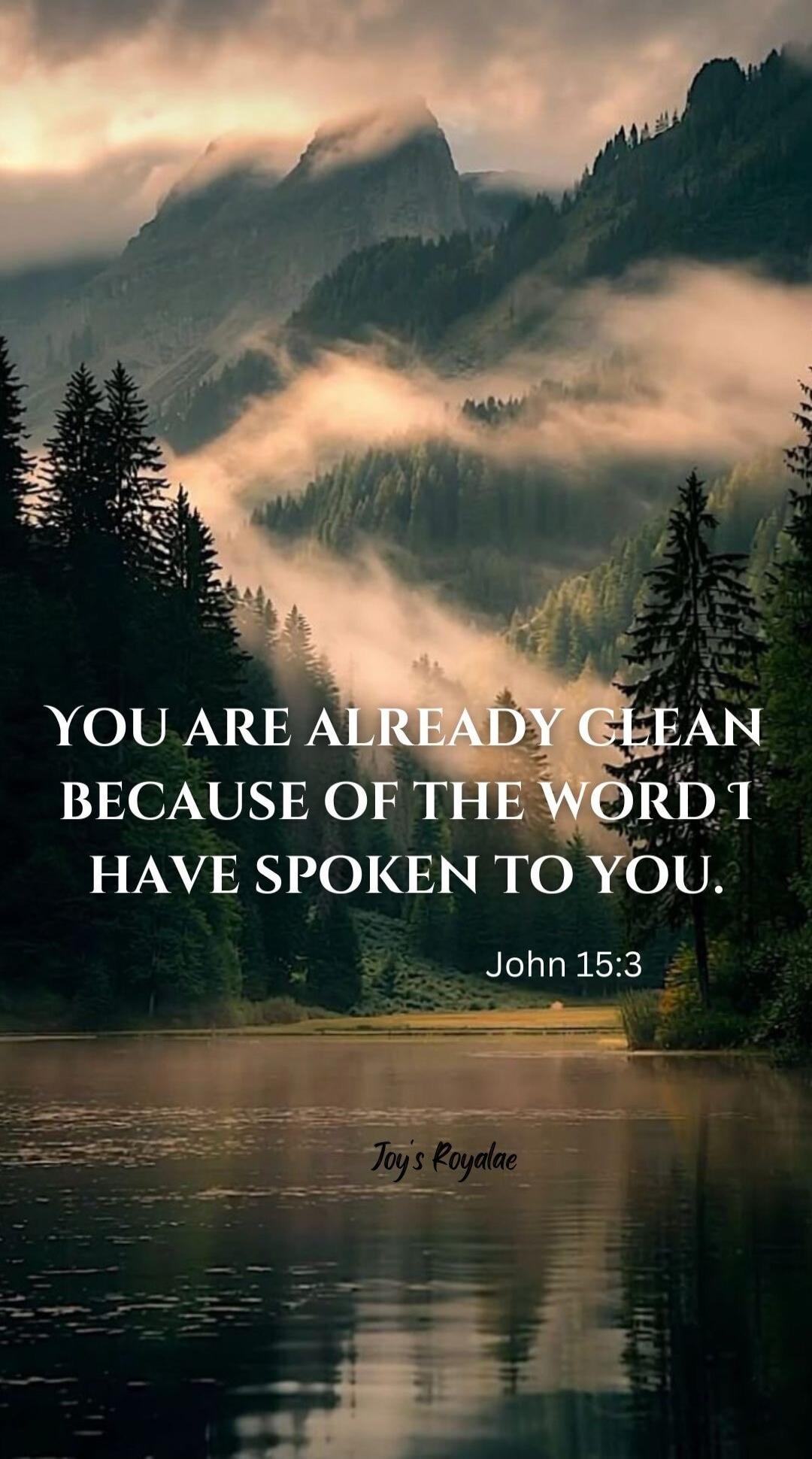 YOU ARE ALREADY CLEAN BECAUSE OF THE WORD I HAVE SPOKEN TO YOU. John 15:3 Joy's Royalae