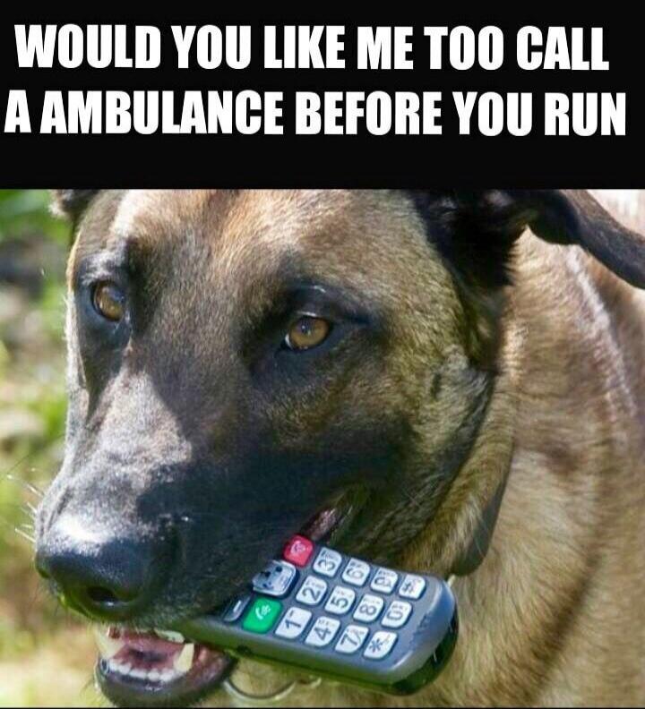 WOULD YOU LIKE ME TOO CALL A AMBULANCE BEFORE YOU RUN