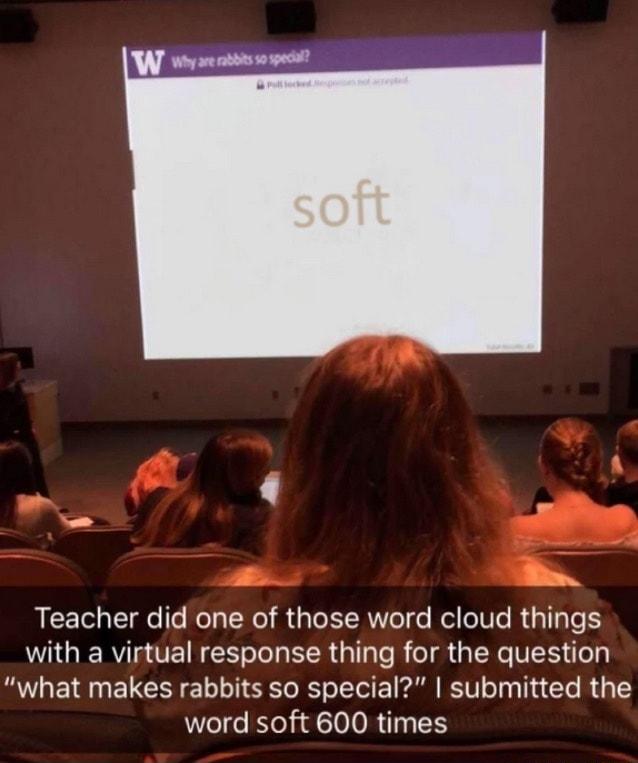 N Teacher did one of those word cloud things P GIER A O RS T R G T s R TR R VS T y what makes rabbits so special submitted the word soft 600 times