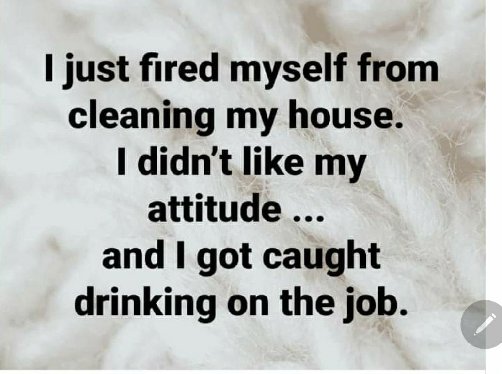 just fired myself from cleaning my house didnt like my attitude and got caught drinking on the job
