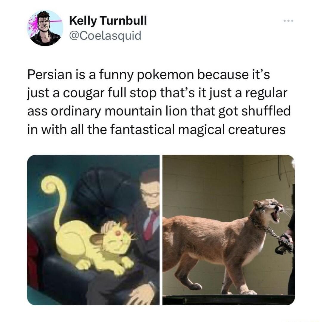 3 Kelly Turnbull g Coelasquid Persian is a funny pokemon because its just a cougar full stop thats it just a regular ass ordinary mountain lion that got shuffled in with all the fantastical magical creatures