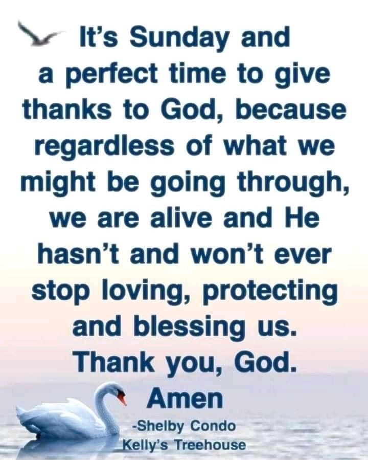 N Is Sunday and a perfect time to give thanks to God because regardless of what we might be going through we are alive and He hasnt and wont ever stop loving protecting and blessing us Thank you God Amen Shelby Condo Kellys Treehouse