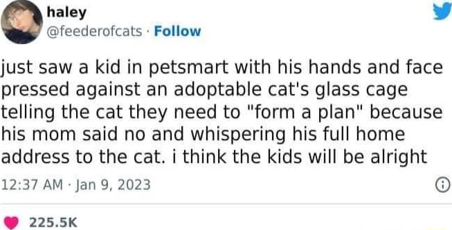 haley b feederofcats Follow just saw a kid in petsmart with his hands and face pressed against an adoptable cats glass cage telling the cat they need to form a plan because his mom said no and whispering his full home address to the cat i think the kids will be alright 1237 AM Jan 9 2023 6 2255K