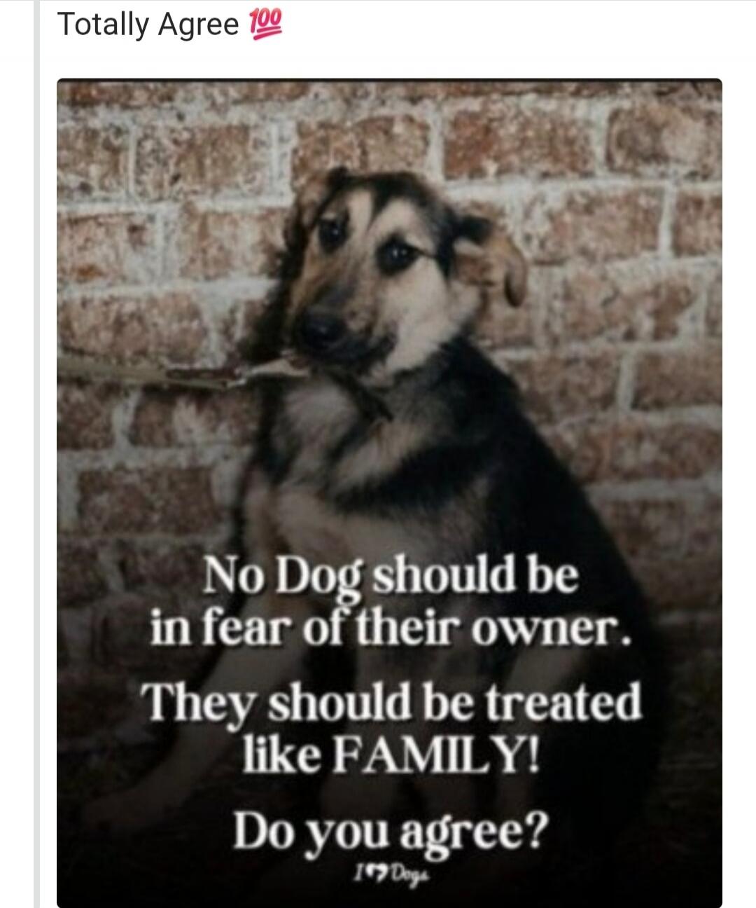 Totally Agree 💯 No Dog should be in fear of their owner. They should be treated like FAMILY! Do you agree? 149 Dogs