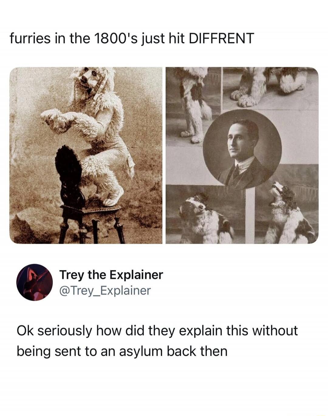 furries in the 1800's just hit DIFFERNT
Trey the Explainer @Trey_Explainer
Ok seriously how did they explain this without being sent to an asylum back then