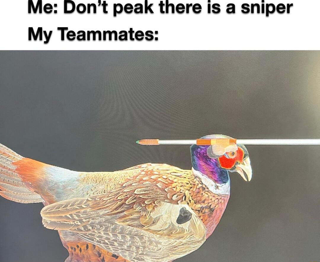 vie Dont peak there is a sniper My Teammates