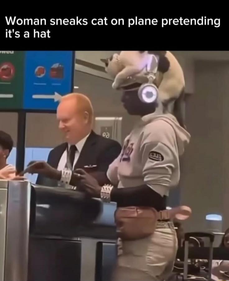 Woman sneaks cat on plane pretending it's a hat
