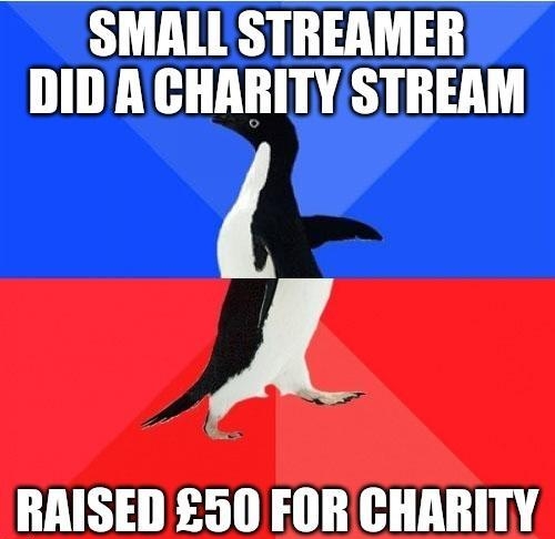 SMALL STREAMER DIDA CHARITY STREAM A RAISED 50 FOR CHARITY
