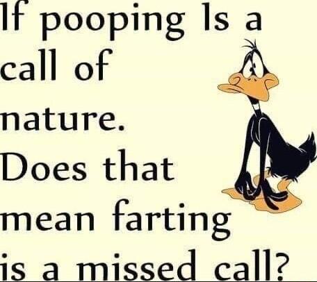 It pooping Is a call of nature Does that mean farting is a missed call