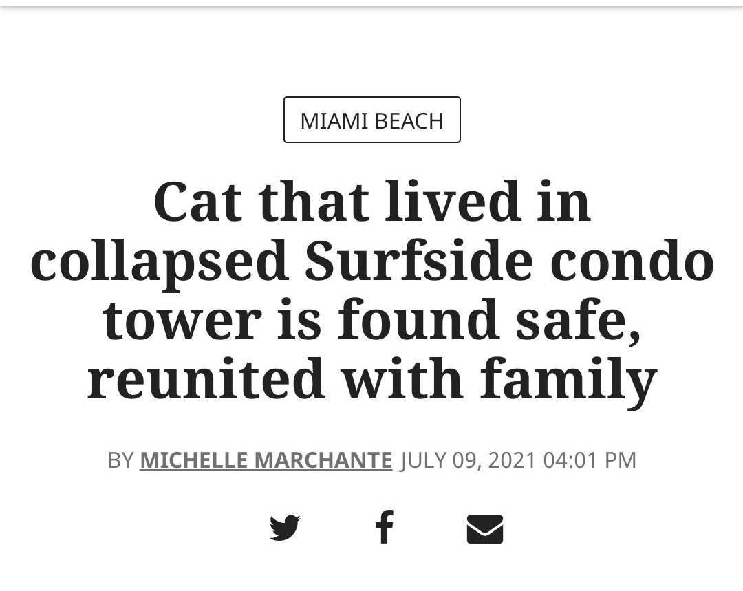 MIAMI BEACH Cat that lived in collapsed Surfside condo tower is found safe reunited with family BY MICHELLE MARCHANTE JULY 09 2021 0401 PM Yy f