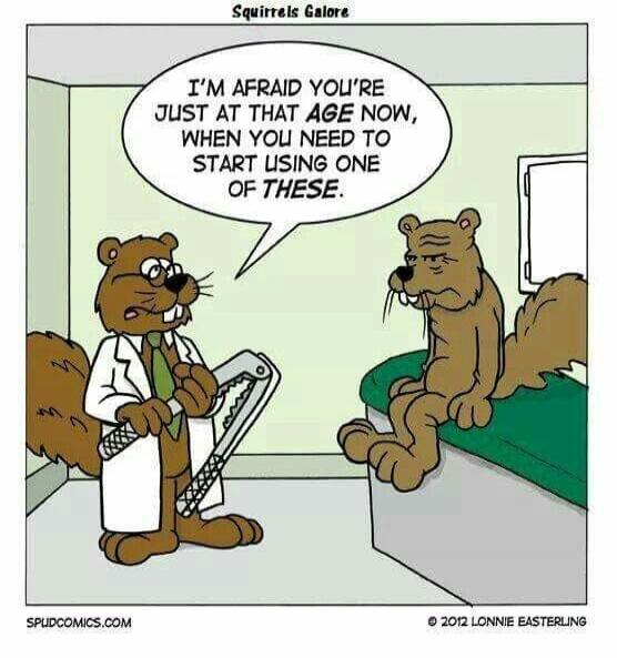 Squirrels Galore. I'M AFRAID YOU'RE JUST AT THAT AGE NOW, WHEN YOU NEED TO START USING ONE OF THESE. SPUDCOMICS.COM. © 2012 LONNIE EASTERLING.