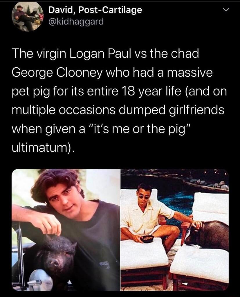 David Post Cartilage v kidhaggard The virgin Logan Paul vs the chad George Clooney who had a massive pet pig for its entire 18 year life and on alU1ifoWelelerlealNe WapTelto Relgi gTale when given a its me or the pig ultimatum