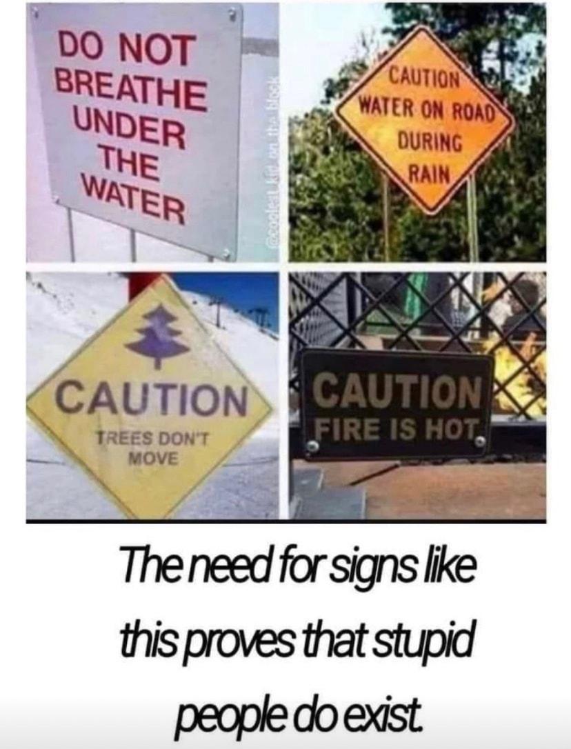 CAUTION N TREES DONT N MOVE The needfor signs like this proves that stupid people do exist