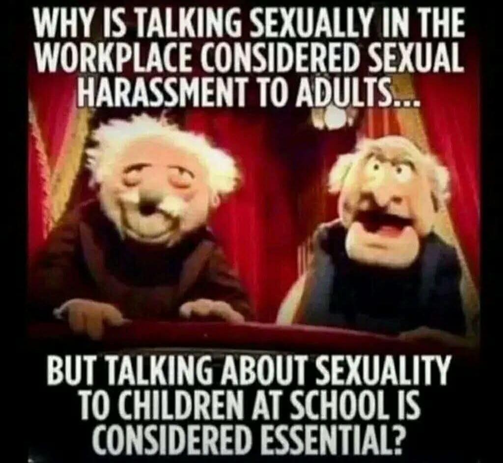 WHY IS TALKING SEXUALLY IN THE WORKPLACE CONSIDERED SEXUAL HARRASSMENT TO ADULTS... BUT TALKING ABOUT SEXUALITY TO CHILDREN AT SCHOOL IS CONSIDERED ESSENTIAL?